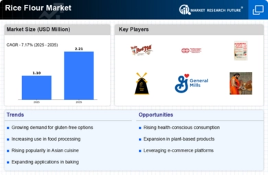 Rice Flour Market Infographic