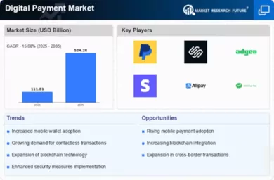 Digital Payment Market Infographic