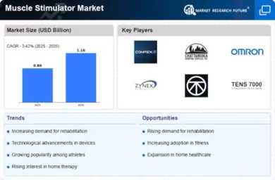 Muscle Stimulator Market Infographic