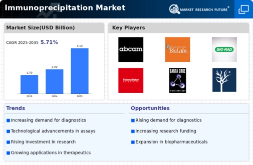 Immunoprecipitation Market Infographic