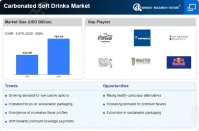 Carbonated Soft Drinks Market Infographic