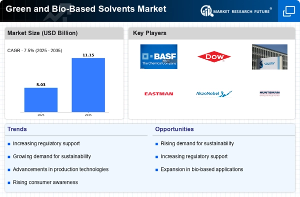 Green and Bio-Based Solvents Market Infographic