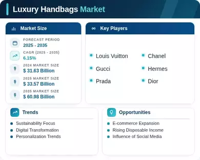 Luxury Handbags Market Infographic