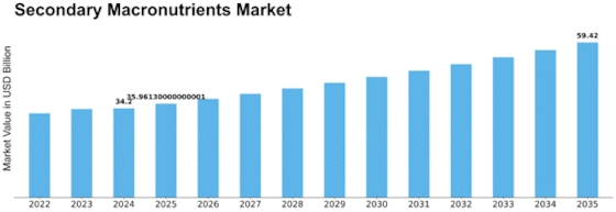 Secondary Macronutrients Market Size
