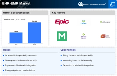 EHR EMR Market Infographic