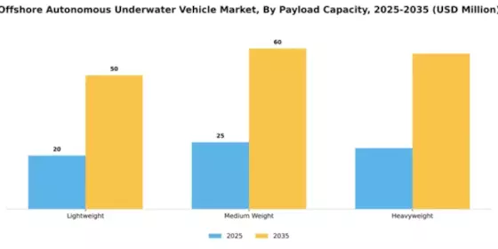Offshore Autonomous Underwater Vehicle Market Segment Image 2