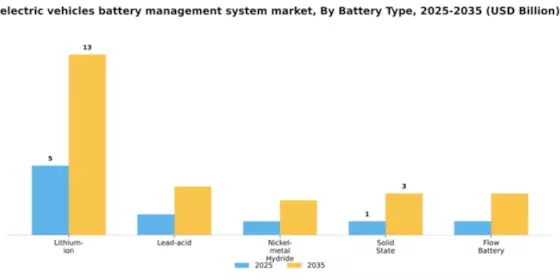 Battery Management System for Electric Vehicles Market Segment Image 1