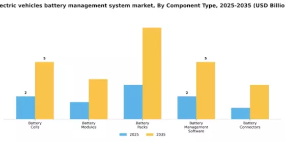 Battery Management System for Electric Vehicles Market Segment Image 2