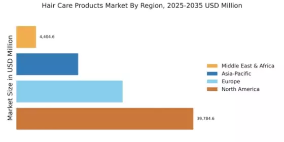 Hair Care Products Market Regional Image
