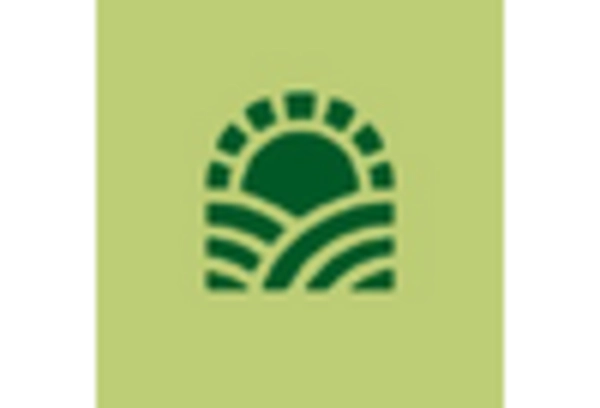 Hemp Derivatives Market key player