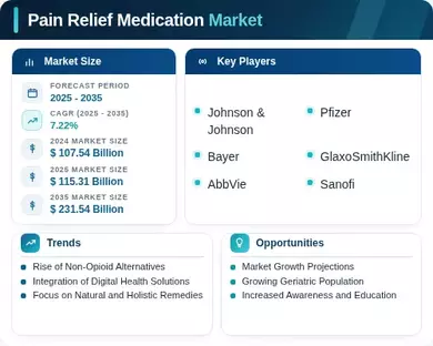 Pain Relief Medication Market Infographic