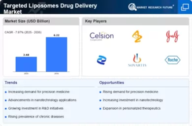 Targeted Liposomes Drug Delivery Market Infographic