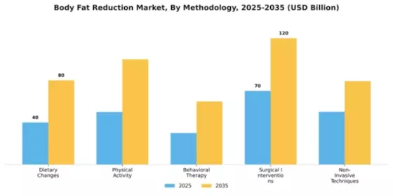 Body Fat Reduction Market Segment Image 3