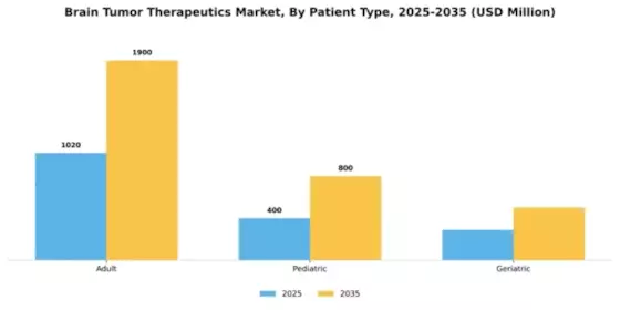 Brain Tumor Therapeutics Market Segment Image 1