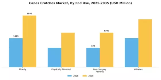 Canes Crutches Market Segment Image 1