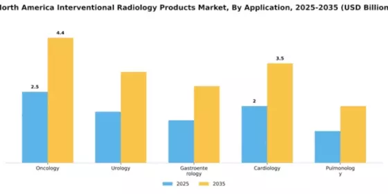Americas Interventional Radiology Market Segment Image 0