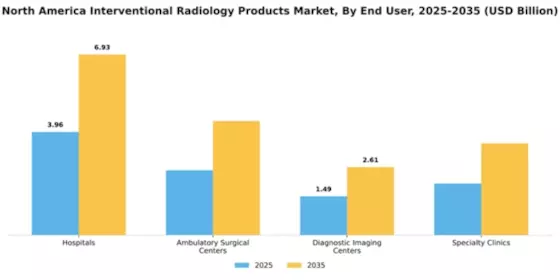 Americas Interventional Radiology Market Segment Image 1