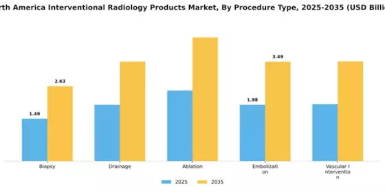 Americas Interventional Radiology Market Segment Image 2