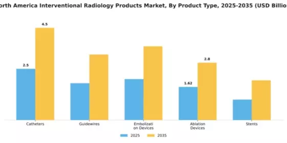 Americas Interventional Radiology Market Segment Image 3