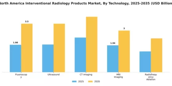 Americas Interventional Radiology Market Segment Image 4