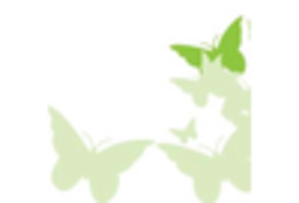 Clinical Rollators Market key player