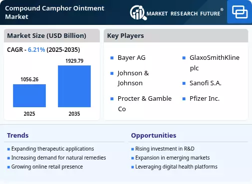 Compound Camphor Ointment Market Size, Share, Trends 2035
