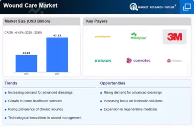 Wound Care Market Infographic