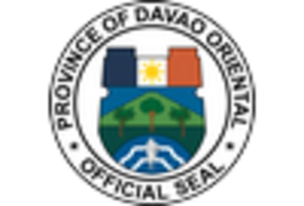 Abaca Fiber Market key player