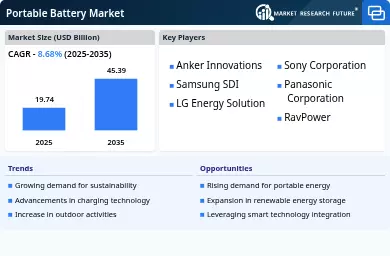 Portable Battery Market Infographic