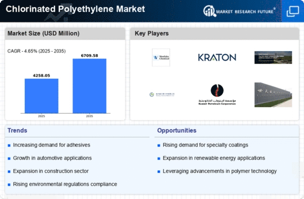 Chlorinated Polyethylene Market Infographic