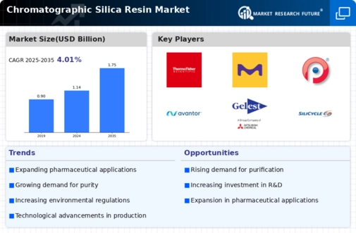 Chromatography Silica Resins Market Infographic