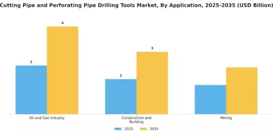 Cutting Pipe and Perforating Pipe Drilling Tools Market Segment Image 0