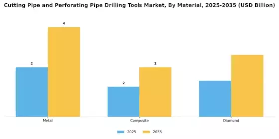 Cutting Pipe and Perforating Pipe Drilling Tools Market Segment Image 2