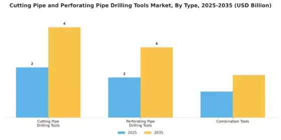 Cutting Pipe and Perforating Pipe Drilling Tools Market Segment Image 3