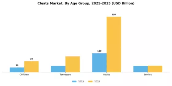 Cleats Market Segment Image 0