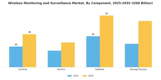 Wireless Monitoring Surveillance Market Segment Image 1