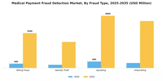 Medical Payment Fraud Detection Market Segment Image 3