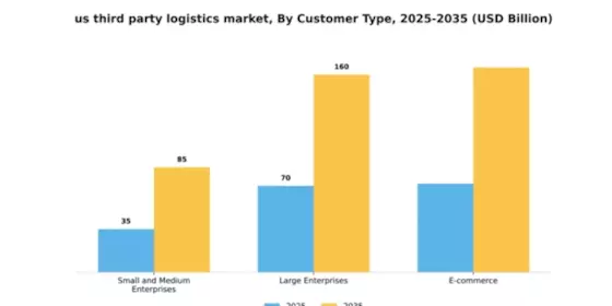 Third Party Logistics 3PL Market Segment Image 0